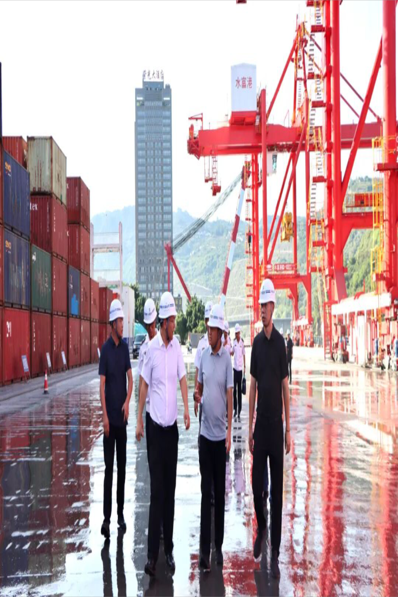 省交通运输厅、省地方海事局督查组到水富港开展综合督查指导
