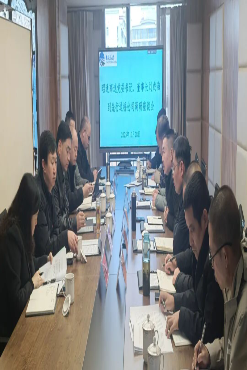 刘成海到先行道桥调研指导工作