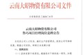云南大昭物资有限公司鲁巧项目经理岗位竞聘公告